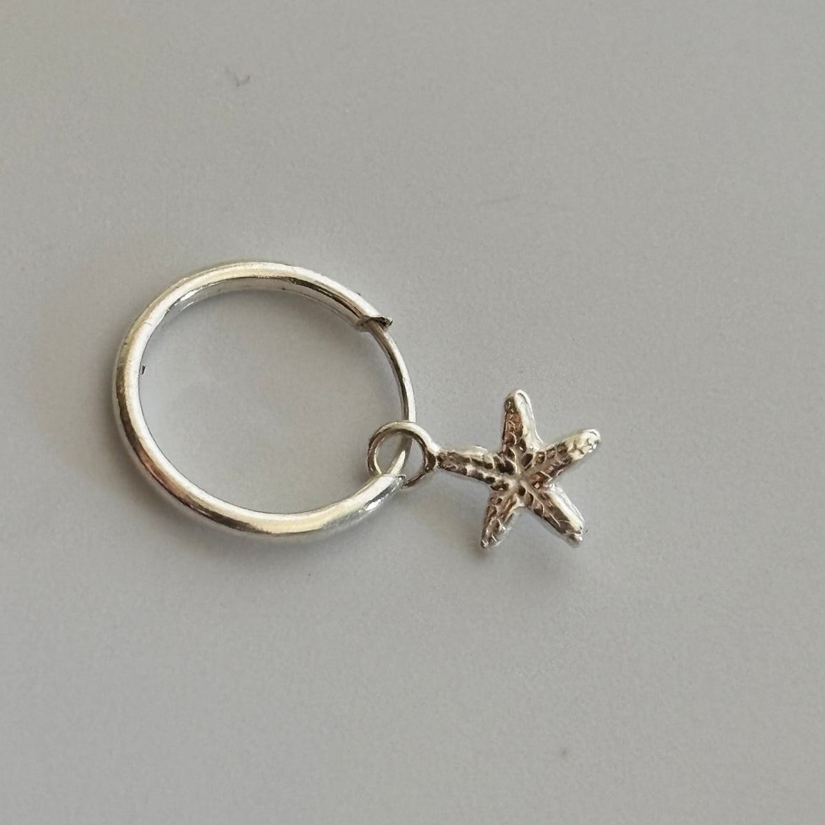 Solitario estrella de mar