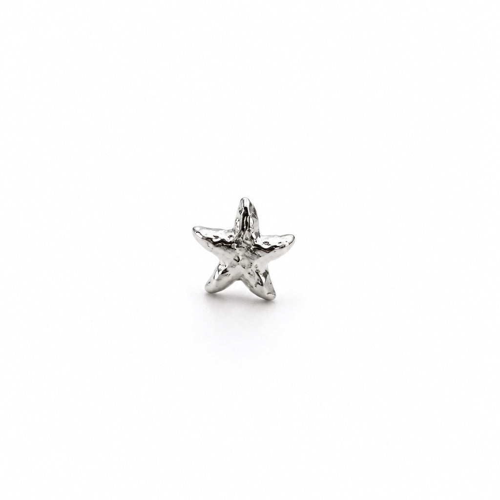 Mini Estrella de mar