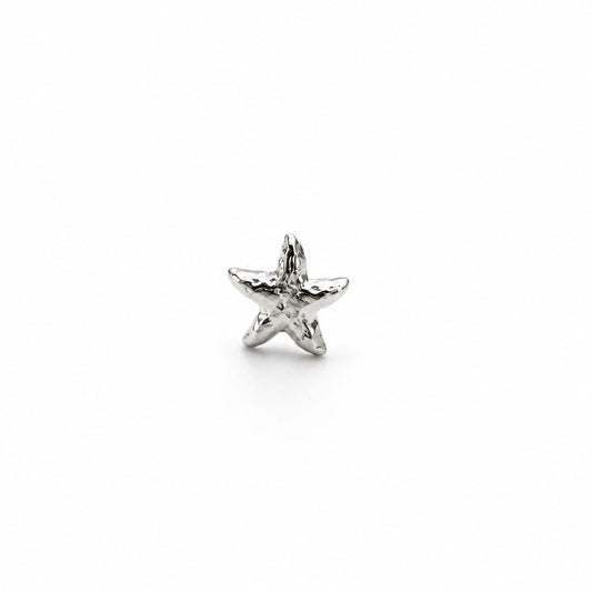 Mini Estrella de mar